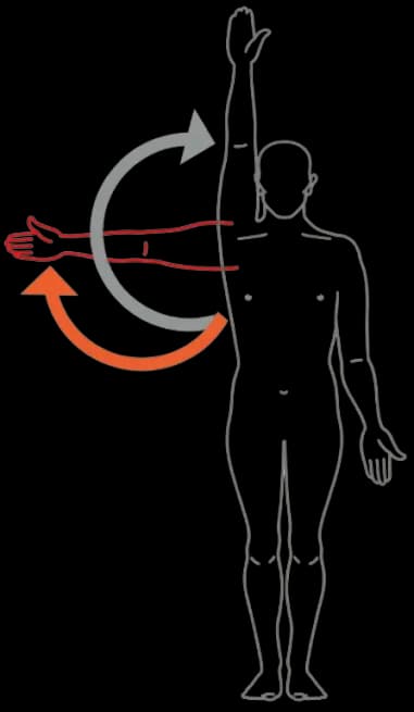 Clinical Formulation